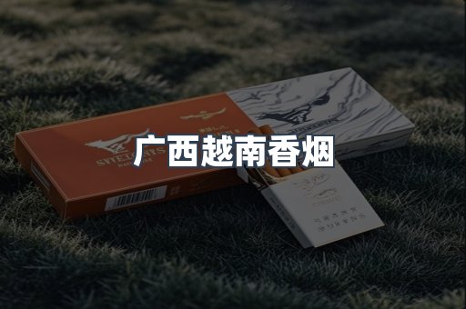 广西越南香烟